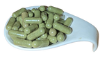 Moringa Kapseln - Bio - 500 mg - vegan - Premium Rohkost Qualität