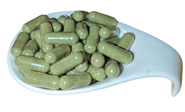 Moringa Kapseln - Bio - 500 mg - vegan - Premium Rohkost Qualität