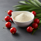 Bio Acerola Pulver hell