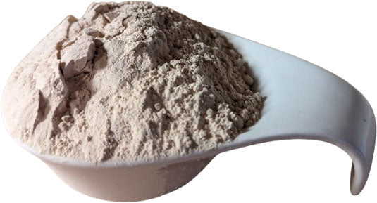 Reisprotein - Bio - pflanzliches Protein