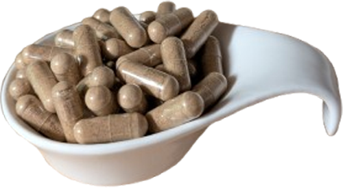 camu camu kapseln