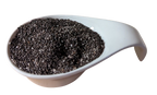 Chia Samen - Bio