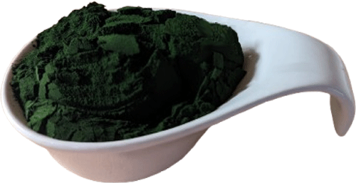 Chlorella Pulver - Bio