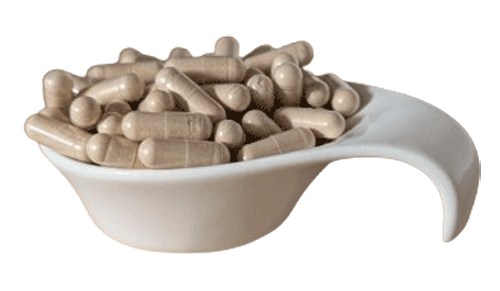 maca kapseln