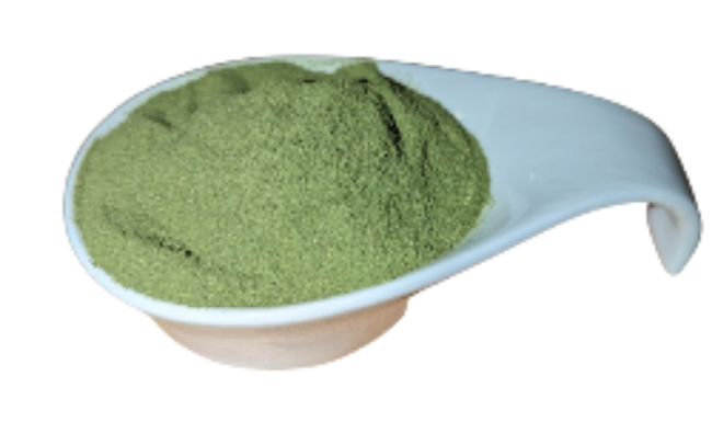 moringa pulver
