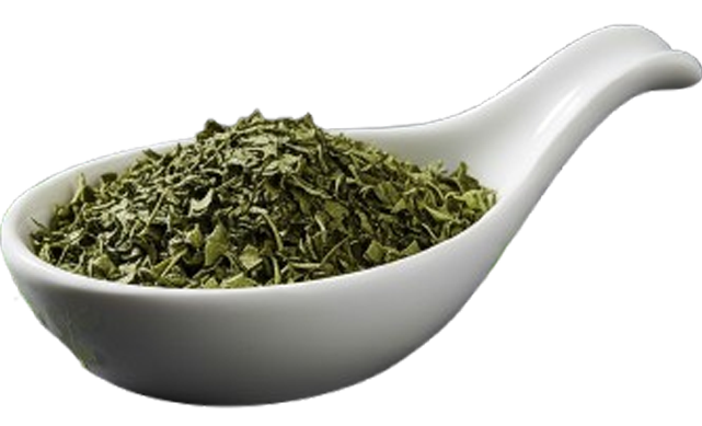 Moringa Blattschnitt / Grobschnitt Tee BIO