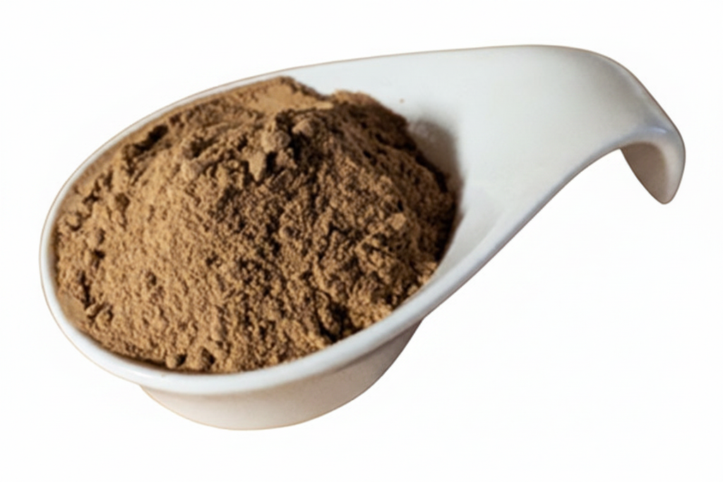 Originale Schale mit Reishi-Pulver