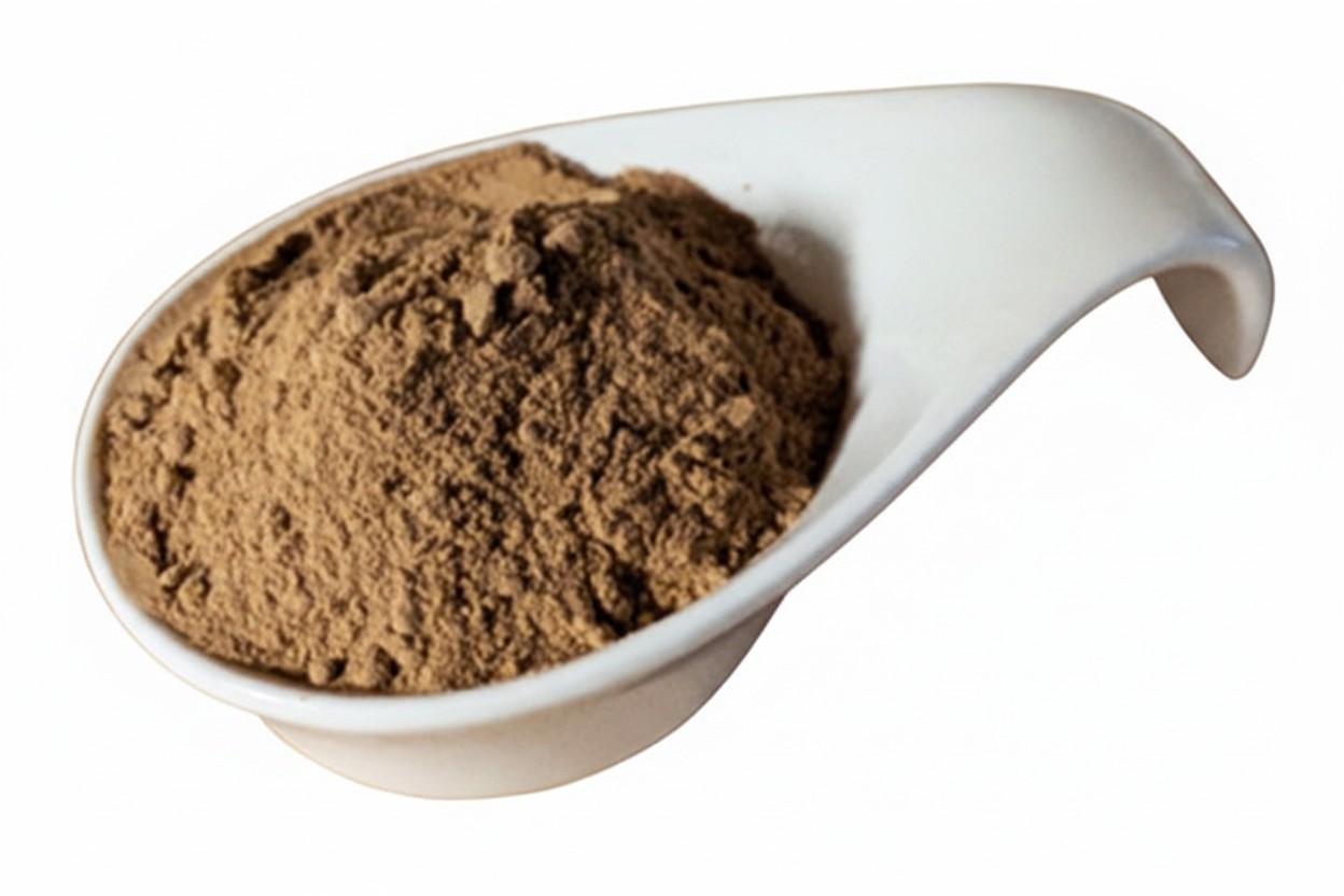 Originale Schale mit Reishi-Pulver