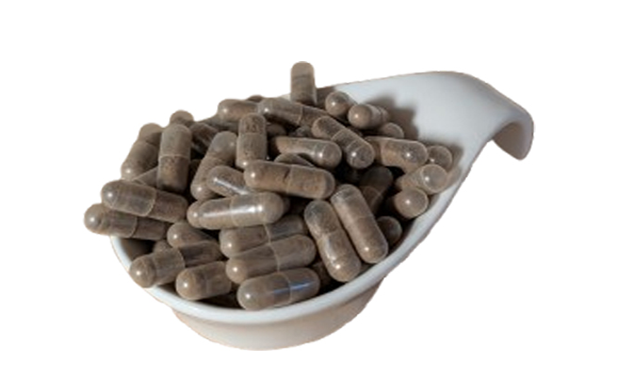 shilajit-kapseln